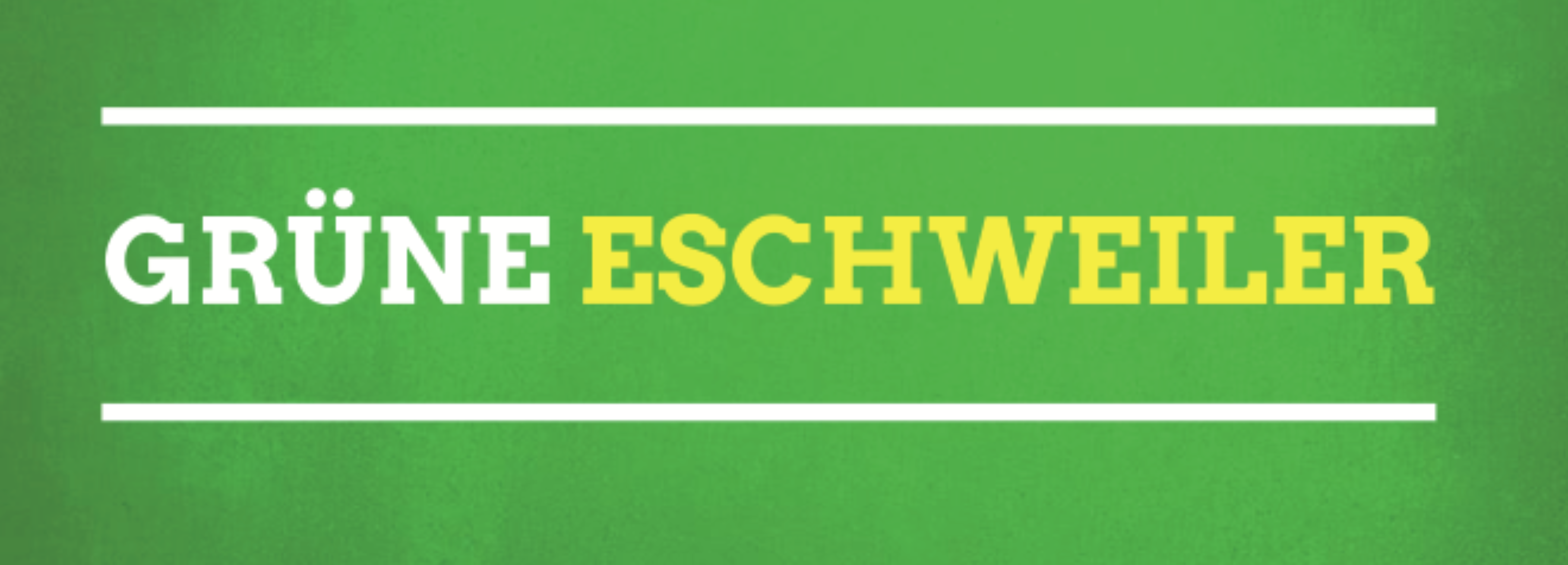 Bündnis 90 / Die Grünen